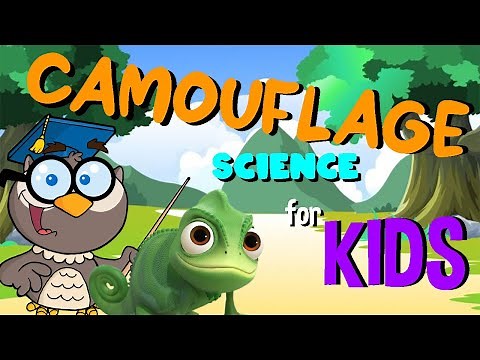 Camouflage | Science for Kids