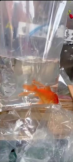 Discover the Advantages of Automatic Multifunctional Food Packaging Machine