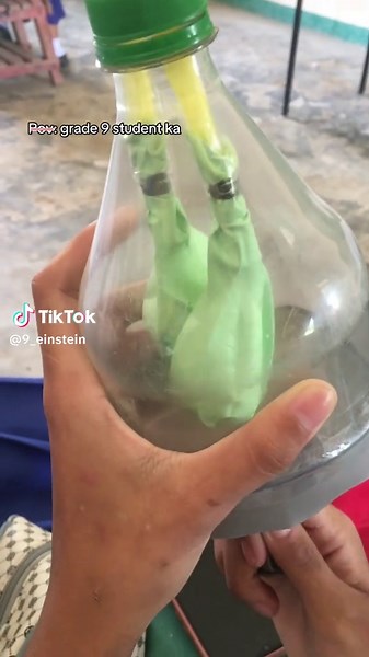 Grade 9 Science Class Moments with Einstein