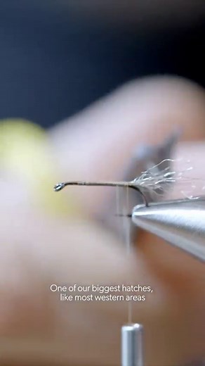 10K views · 38 reactions | Hogan’s Simple Caddis Emerger is an easy to tie and highly effective low riding caddis emerger or cripple pattern that draws inspiration from Ralph Cutter’s EC Caddis, Craig Mathew’s X-Caddis and Mike Mercer’s Missing Link. #GetBusyTying Link in bio for the full tutorial. | Loon Outdoors | Facebook