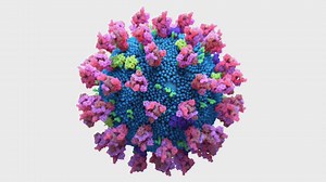 23K views · 418 reactions | Dr. Raj explains how outbreaks in Alberta and Saskatchewan have allowed the delta variant to mutate into more contageous and stronger virus strains. | CBC Calgary | Facebook