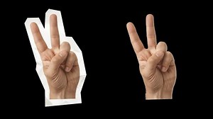 Peace Sign Hand Images – Browse 306,624 Stock Photos, Vectors, and Video