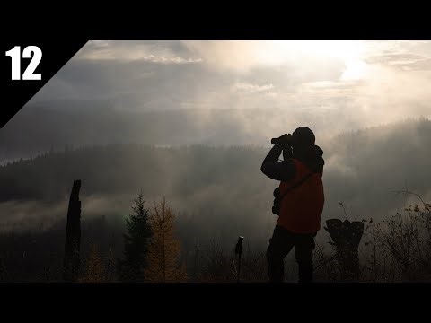 A Whitetail Buck of the Foothills! (Washington General Late Season Hunt) | 2025 EP.12