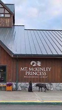 Mt. McKinley Princess Wilderness Lodge near Denali National Park. Princess Cruise