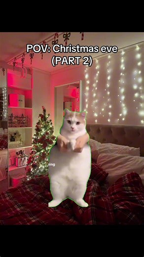 Christmas Eve Excitement: A POV Journey