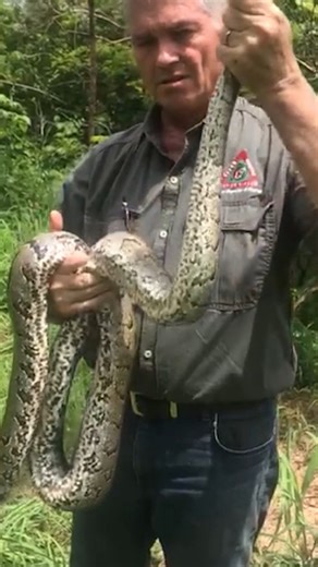 3.1K views · 27 reactions | What you need to know about the African...