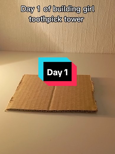 Girl_toothpick_tower on TikTok