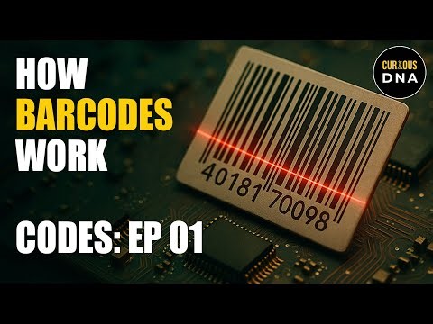 Barcodes Explained | How Barcodes work?