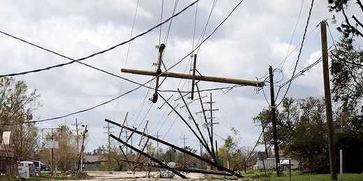 What you should do if you encounter a downed power line