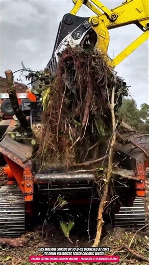 Organic Cutting Residue Shredder Machine - Processes 8–12 Branches at Once