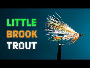 Little Brook Trout Fly Pattern | A Classic Streamer Fly | Fly Tying Tutorial