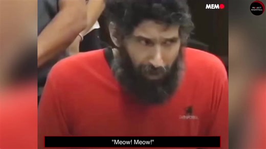 One individual's extreme body modifications that blurred the line between human and animal