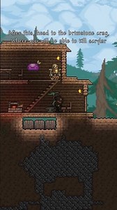 Calamity Pre-Hard-Mode Wings