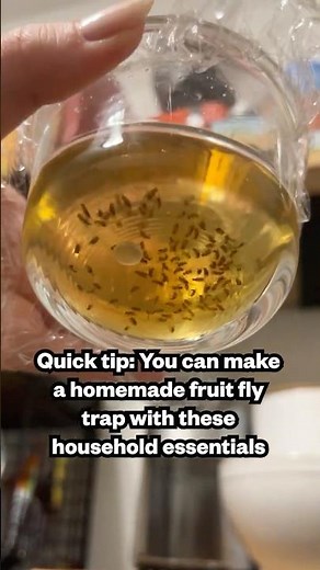 Life Hack: How to Make a Homemade Fruit Fly Trap