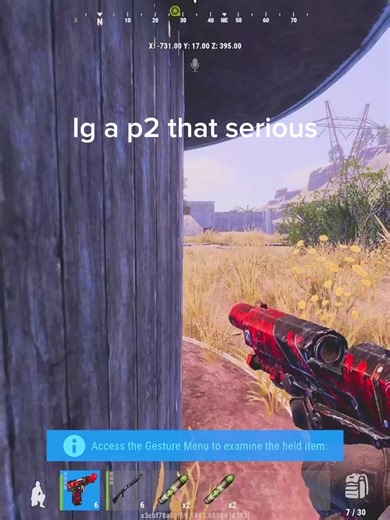 Exploring Rust Console Gameplay Tips and Tricks