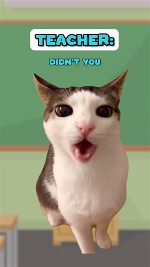 Students excuses for not doing their homework 🥶 (Cat Memes🐈) ‪@Ryanhdlombard‬ #shorts