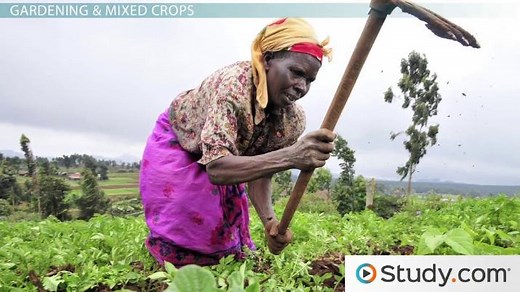 Farming, Ranching & Gardening in Most-Developed Countries