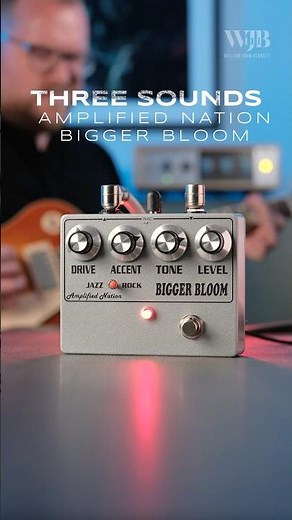 Three Sounds: Amplified Nation Bigger Bloom - Dumble Style Overdrive Pedal