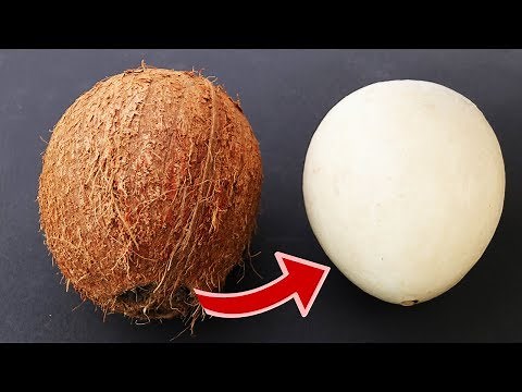 How to remove COCONUT Flesh From Shell, 2 different ways
