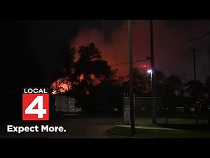 Local 4 News at 11 -- Aug. 21, 2024