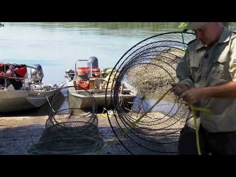 Hoop Net Tighten Technique