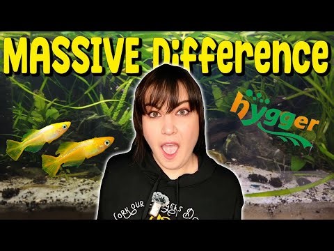 I Tested the Hygger Clip On LED Light… Here’s What I Found