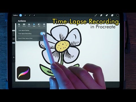 How to Record a Time-Lapse in Procreate - Tutorial for Beginners