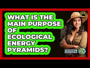 What Is the Main Purpose of Ecological Energy Pyramids?