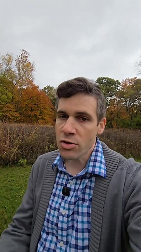 ⚡If your energy crashes by 2 PM… these gummies are about to change that. Focus, clarity, no jitters — just clean fuel. | Mushroom Insider | Facebook