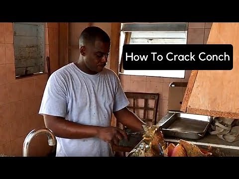 How To Crack & Shell A Conch (Nassau, Bahamas)