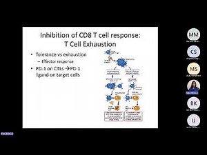 Abbas Ch 11 Differentiation and Function of CD8+ Effector T cells (Raje)
