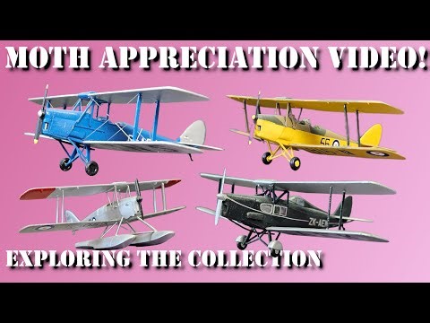 All of my moths (for now)! The Mothman: Exploring the Collection