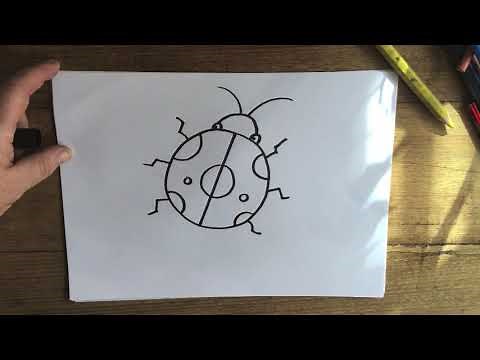 DRAWING MINIBEASTS