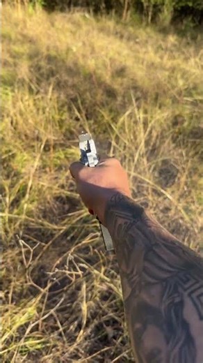 Colt combat commander 45.