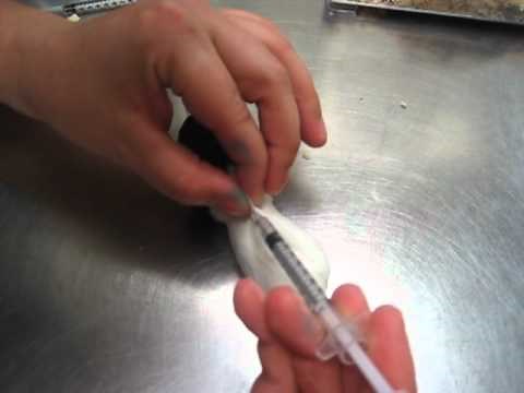 Mouse Subcutaneous Injection