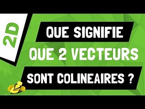 Que signifie ‹‹ les deux vecteurs sont colinéaires ›› ?