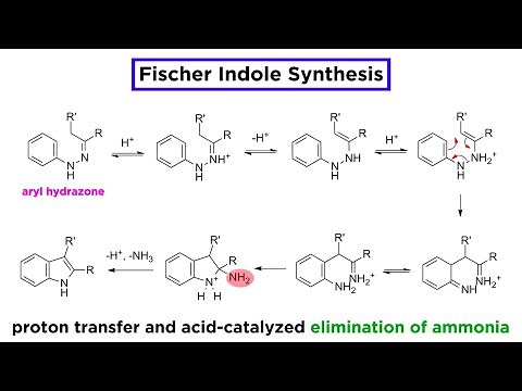 Fischer Indole Synthesis