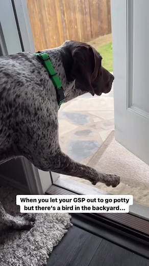 gsp.planet on TikTok