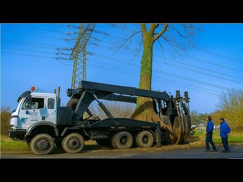 How Do You Move a 10-Ton Tree? This Machine Can!