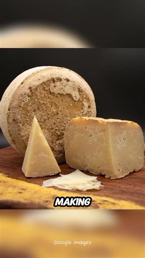 6.9K views · 42 reactions | Today's creature: The Fat-tailed Sheep...