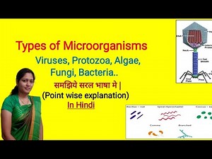 Types of Microorganisms | Viruses | Bacteria | Protozoa | Algae | Fungi | NEET | Microorganisms