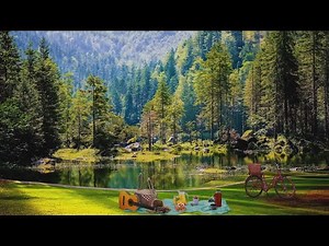 Spring Ambience | Spring Forest Ambience with Bird Song | Calming Nature Sounds