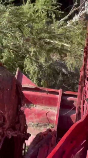 230 timber jack skidder #detroitdiesel #skidder #timberjack #shortvideo