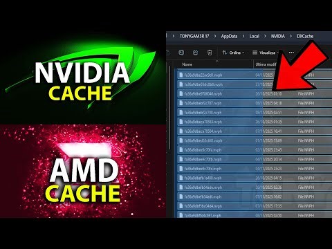 COME TROVARE LA CARTELLA CACHE DI NVIDIA E AMD NEL TUO COMPUTER - TUTORIAL