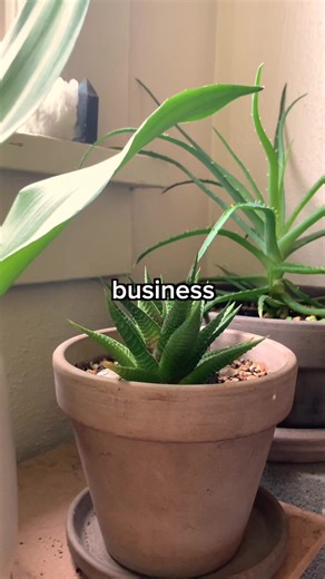 32K views · 1.9K reactions | 華 Here's another track from musician Owen Kelley (@on.kly) on the CT-S1000V titled "Houseplant Hymnal". Don't forget to water your plants! #piano #keyboard #synthesizer #CASIOMusic #casiotone #cts1000V #vocalsynthesis #owenkelley | CASIO Music Global | Facebook