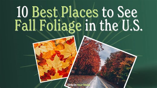 The 10 Best Places to See the Most Beautiful Fall Foliage Across America | @onlyinyourstate