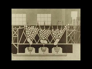 Winter Logging: Horse-Drawn Sleds & the History of Wood Pulp