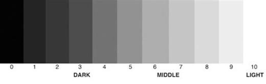 Why Value Is More Important Than Color in Painting