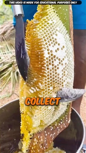 How Pure Honey Is REALLY Made