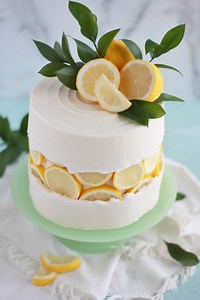 Lemon Slice Fault Line Cake - Baking with Blondie
